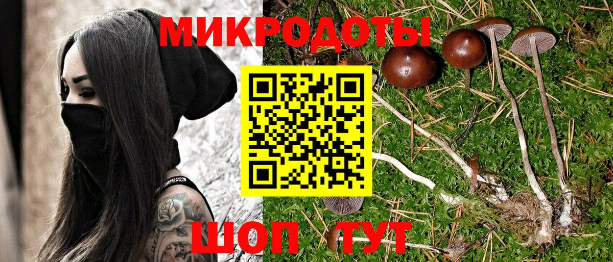 Галлюциногенные грибы ЛСД Мегион