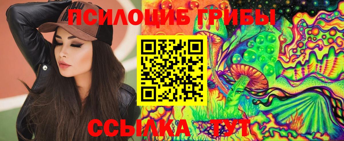 Галлюциногенные грибы Psilocybe  Вход с VPN  Галлюциногенные грибы MAGIC MUSHROOMS  Мегион 